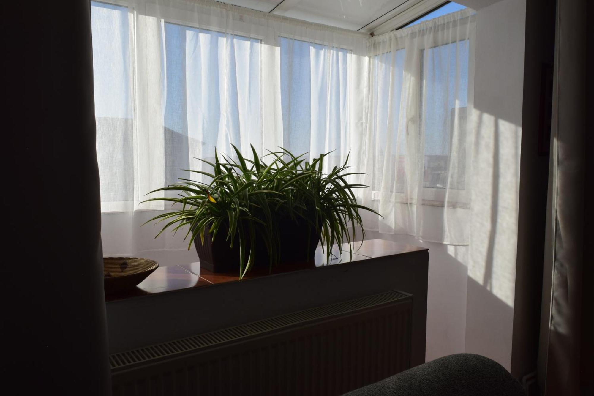 Apartament Simina Timisoara Ngoại thất bức ảnh